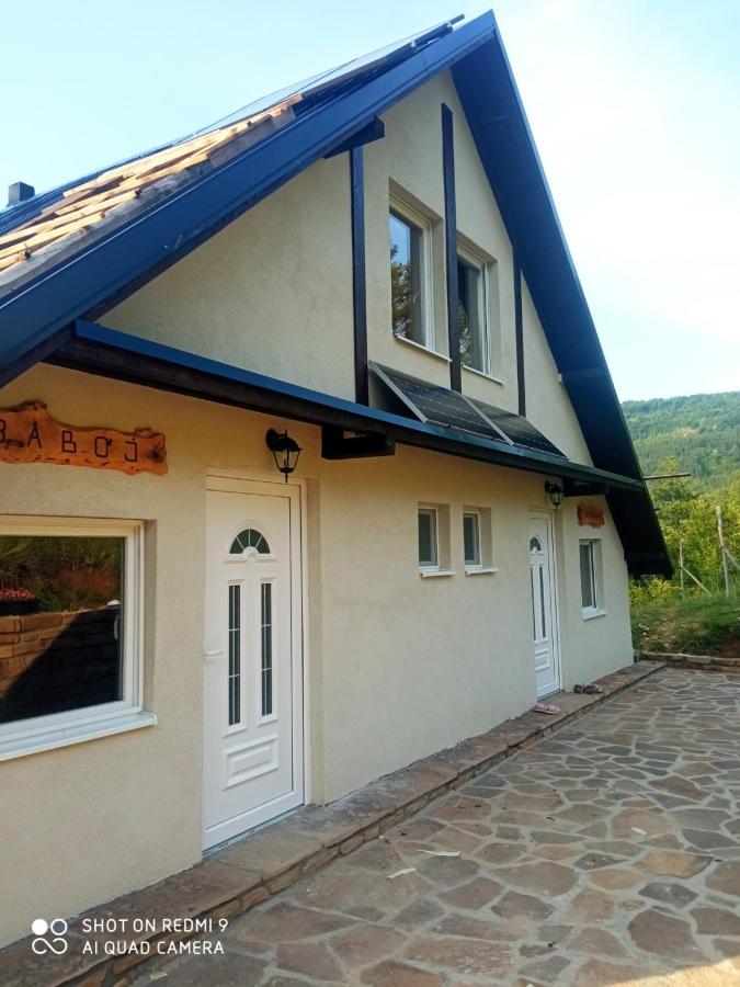 Zavojsko Jezero - Vila Jezero ปิโรต์ ภายนอก รูปภาพ