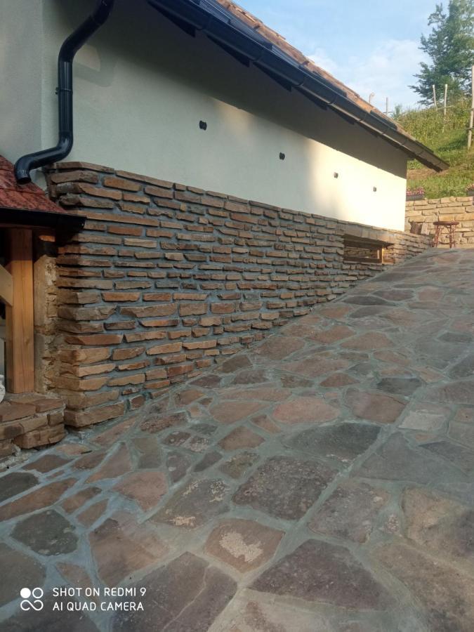 Zavojsko Jezero - Vila Jezero ปิโรต์ ภายนอก รูปภาพ